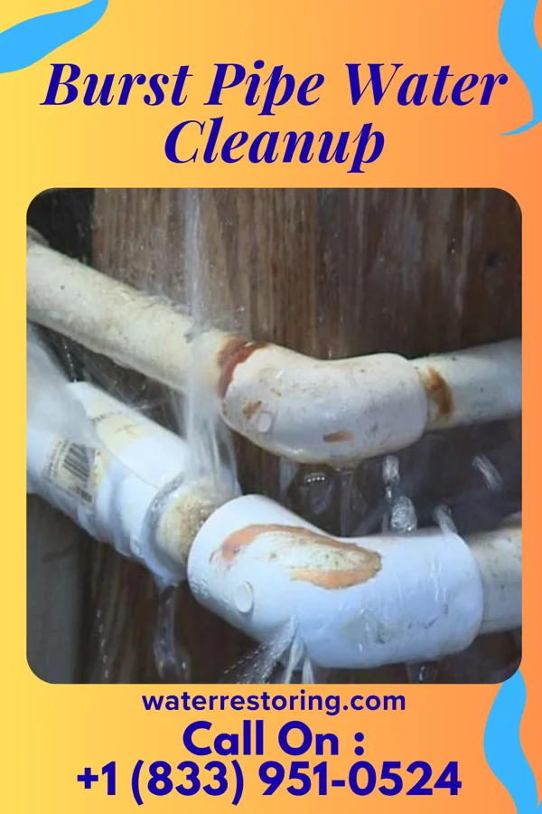 Burst Pipe Water Cleanup in Chocowinity, NC
