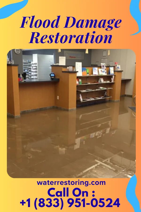 Flood Damage Restoration in Chocowinity, NC